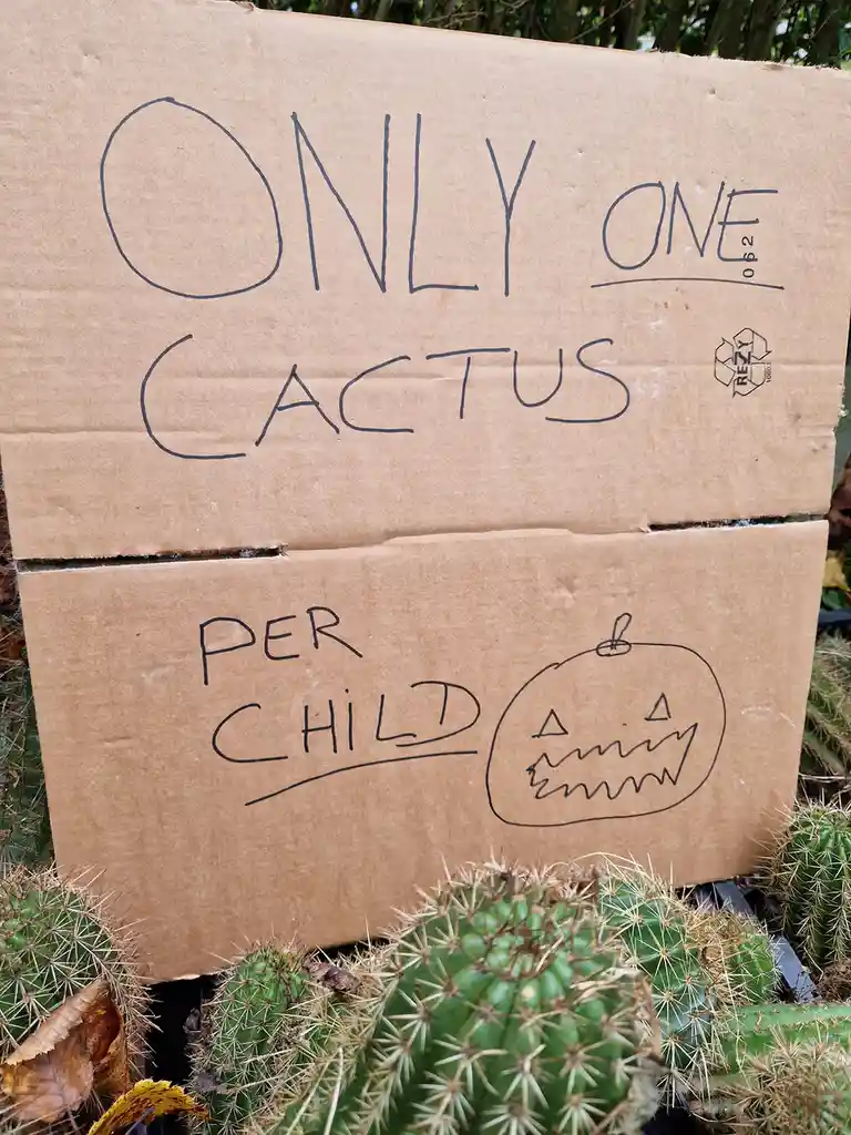 A handmade cardboard sign with handwritten text reads 'ONLY ONE CACTUS PER CHILD' and features a simple drawing of a…