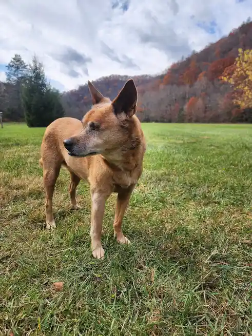Meet Lahja: A Name with a Story