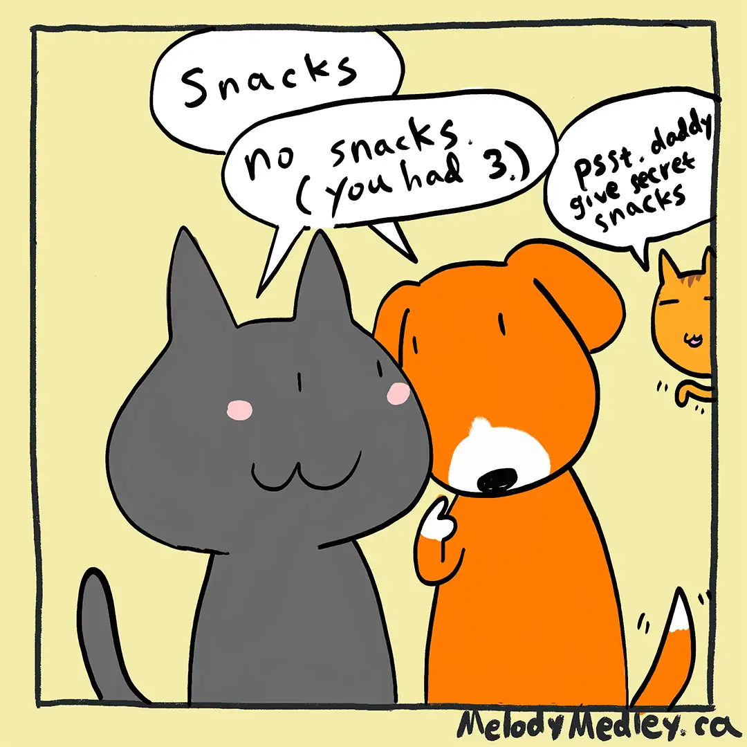 A cartoon drawing shows a gray cat and an orange dog standing side by side. The cat says 'Snacks', the dog replies 'no…