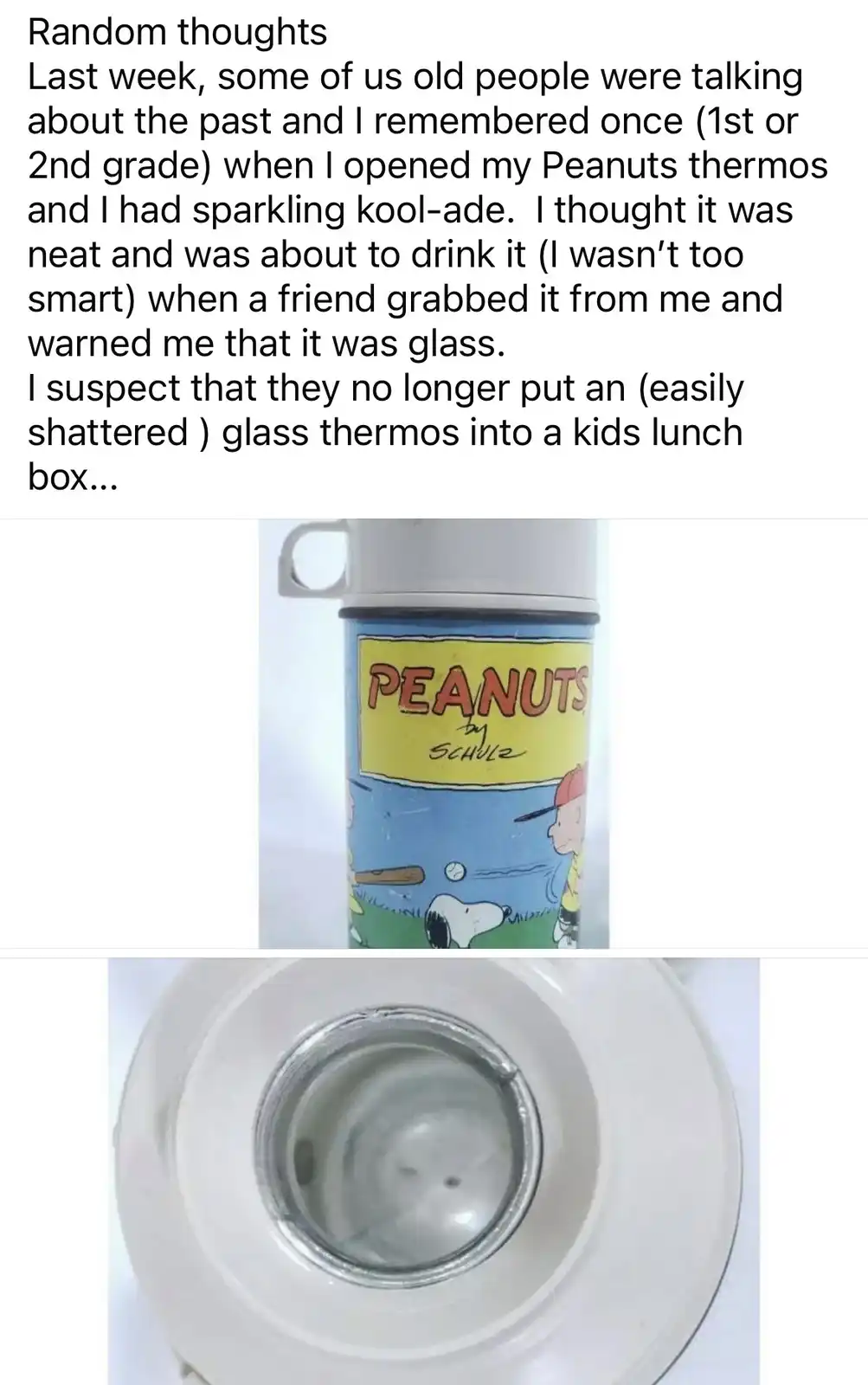 The image shows a Peanuts-themed thermos with a cartoon of Charlie Brown and Snoopy. The bottom panel reveals the inside of…