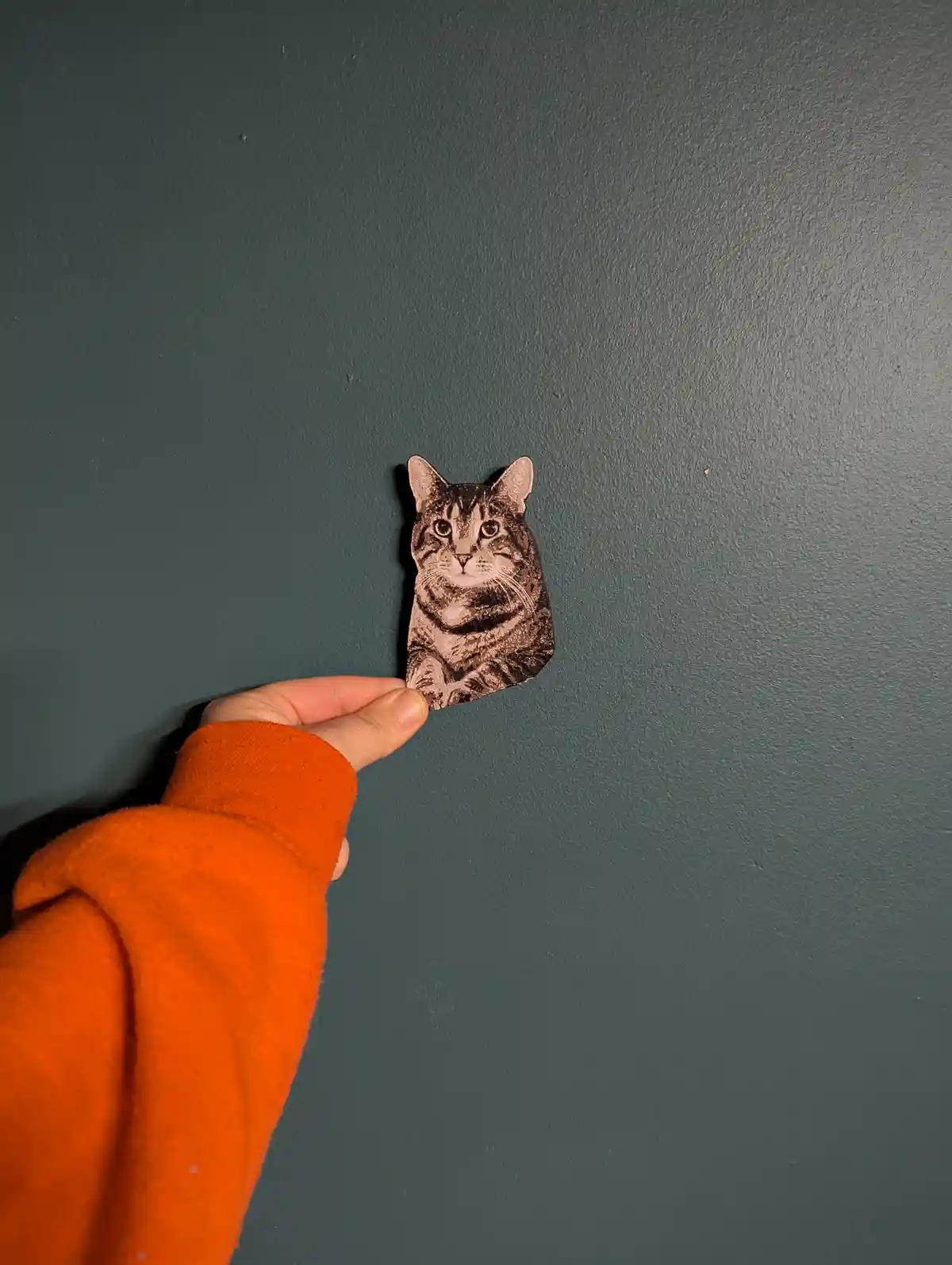 A hand in an orange sleeve holds a cutout of a tabby cat's face against a dark green wall. The cat cutout has a serious…