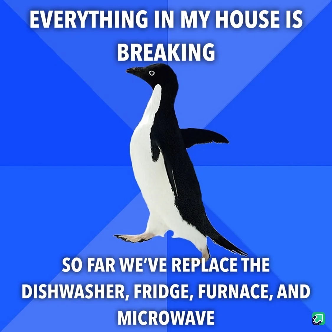A penguin stands against a blue background with white text stating 'EVERYTHING IN MY HOUSE IS BREAKING' at the top and 'SO…
