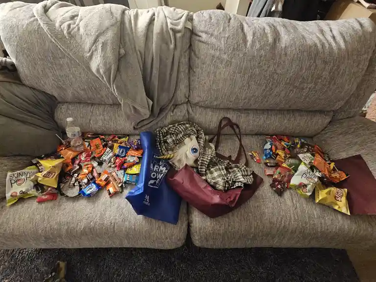 A gray couch is covered in a large pile of Halloween candy wrappers, snack bags, and two shopping bags, one blue and one…