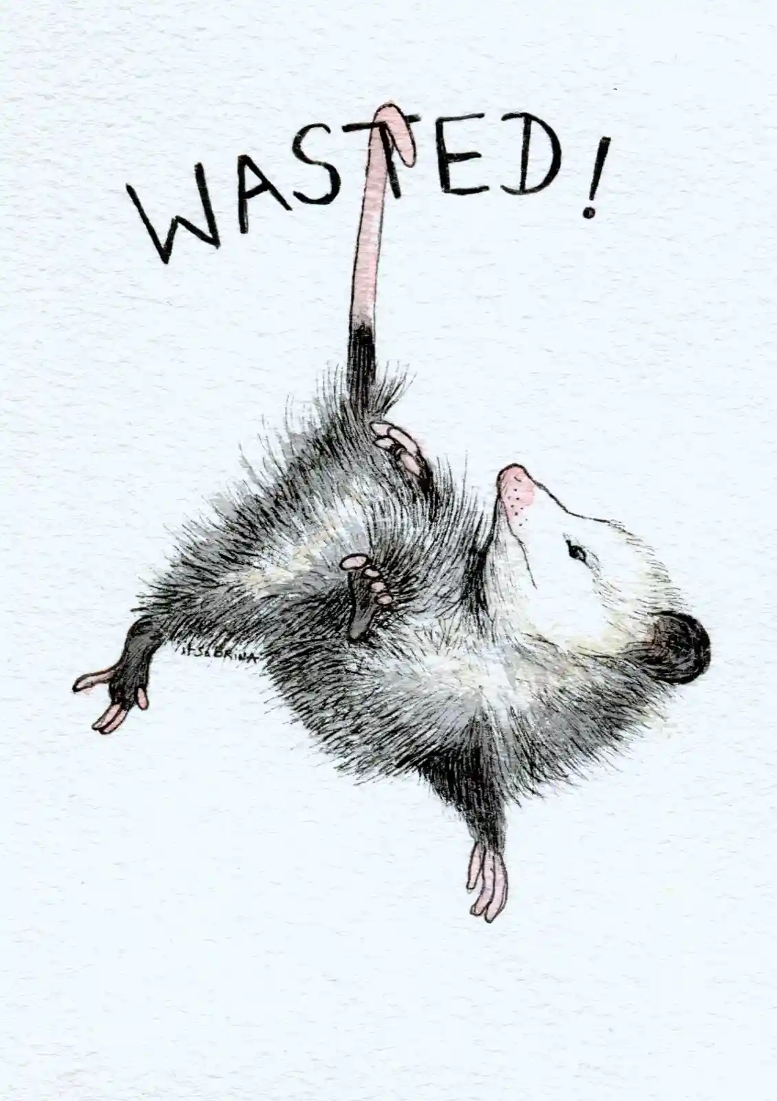 A hand-drawn illustration of a possum lying on its back with its tail raised vertically, appearing lifeless. The word…