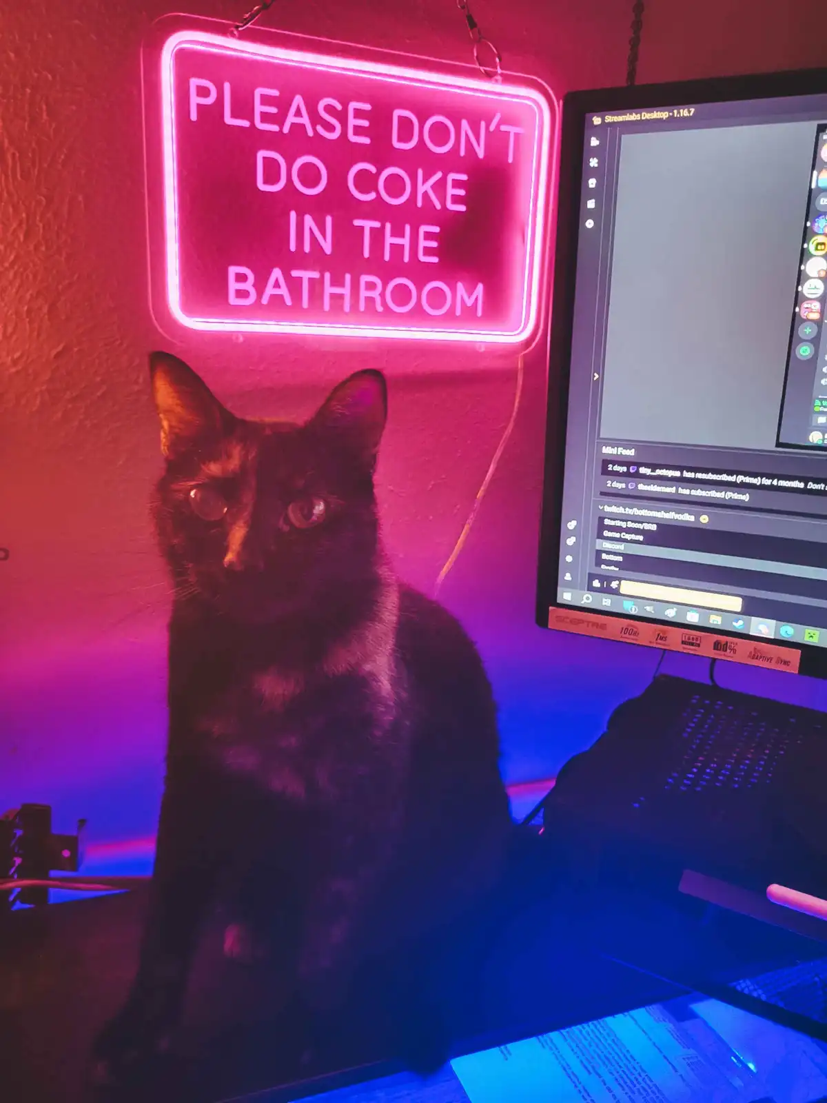 It's Caturday and here's Deaf Cat Magoo, also known as Oogala Magoogala!