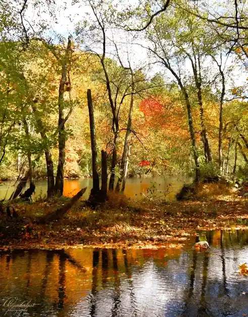 A serene autumn forest scene with trees displaying vibrant yellow, orange, and red leaves, reflected in a calm river. The…