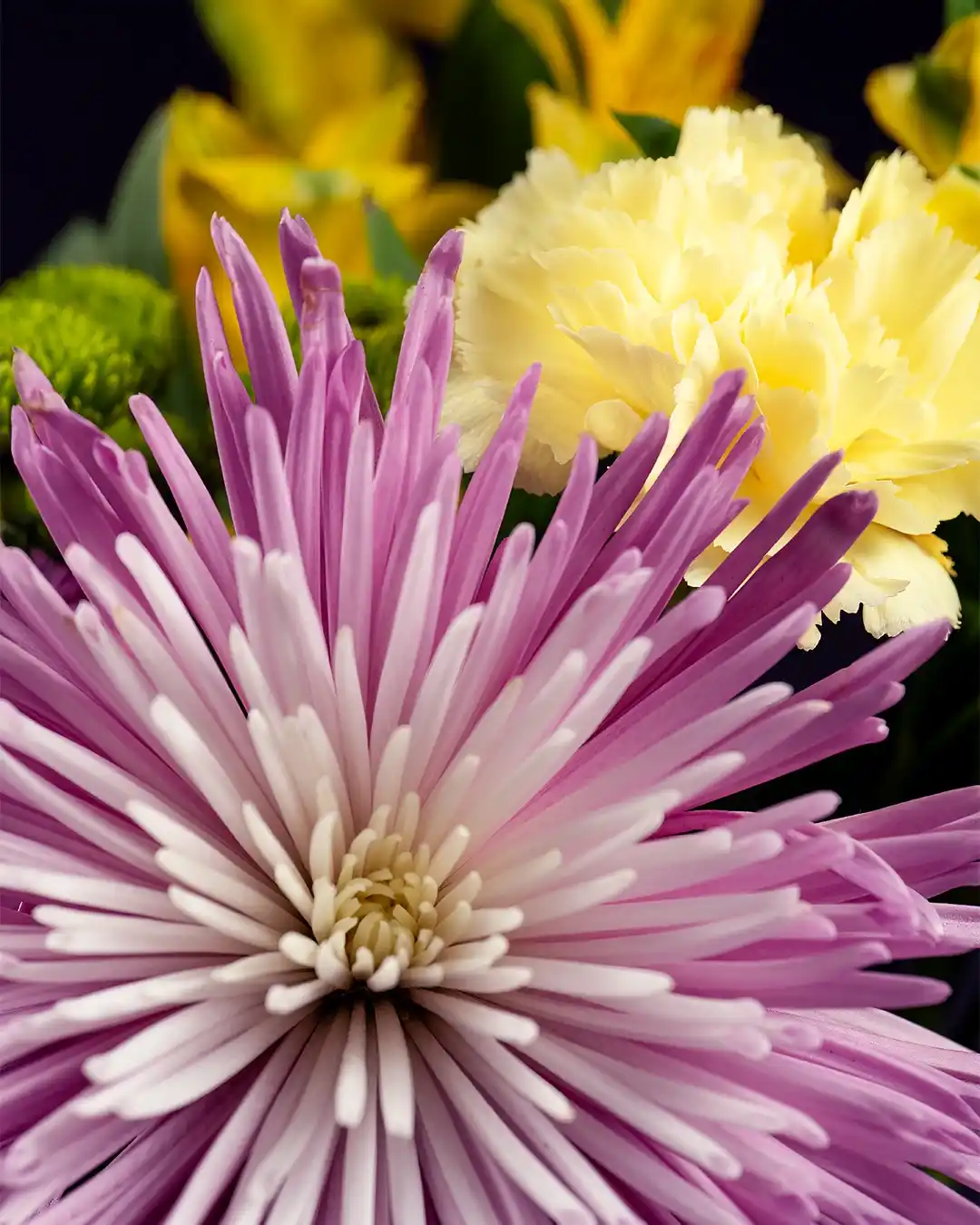 Welcoming the New Year with Some Beautiful Flowers