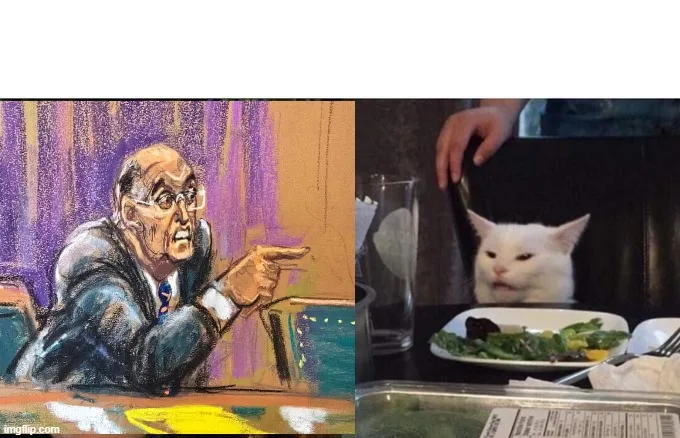 The image is a split-screen meme. On the left, a courtroom sketch shows a stern, balding judge with glasses pointing…