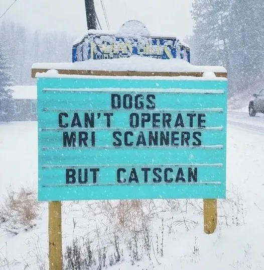 A snow-covered outdoor sign with black lettering on a teal background reads 'DOGS CAN'T OPERATE MRI SCANNERS BUT CATSCAN'…