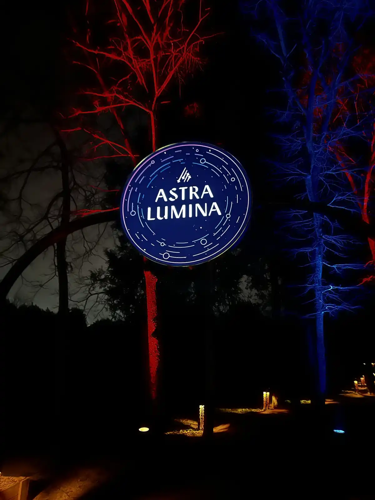 Astra Lumina: A Glimpse into Dallas