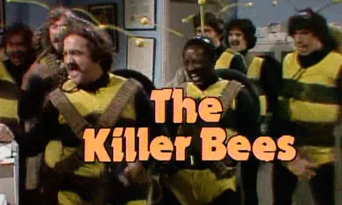 Six panels show a group of men in yellow and black striped bee costumes with antennae, smiling and posing in an office…