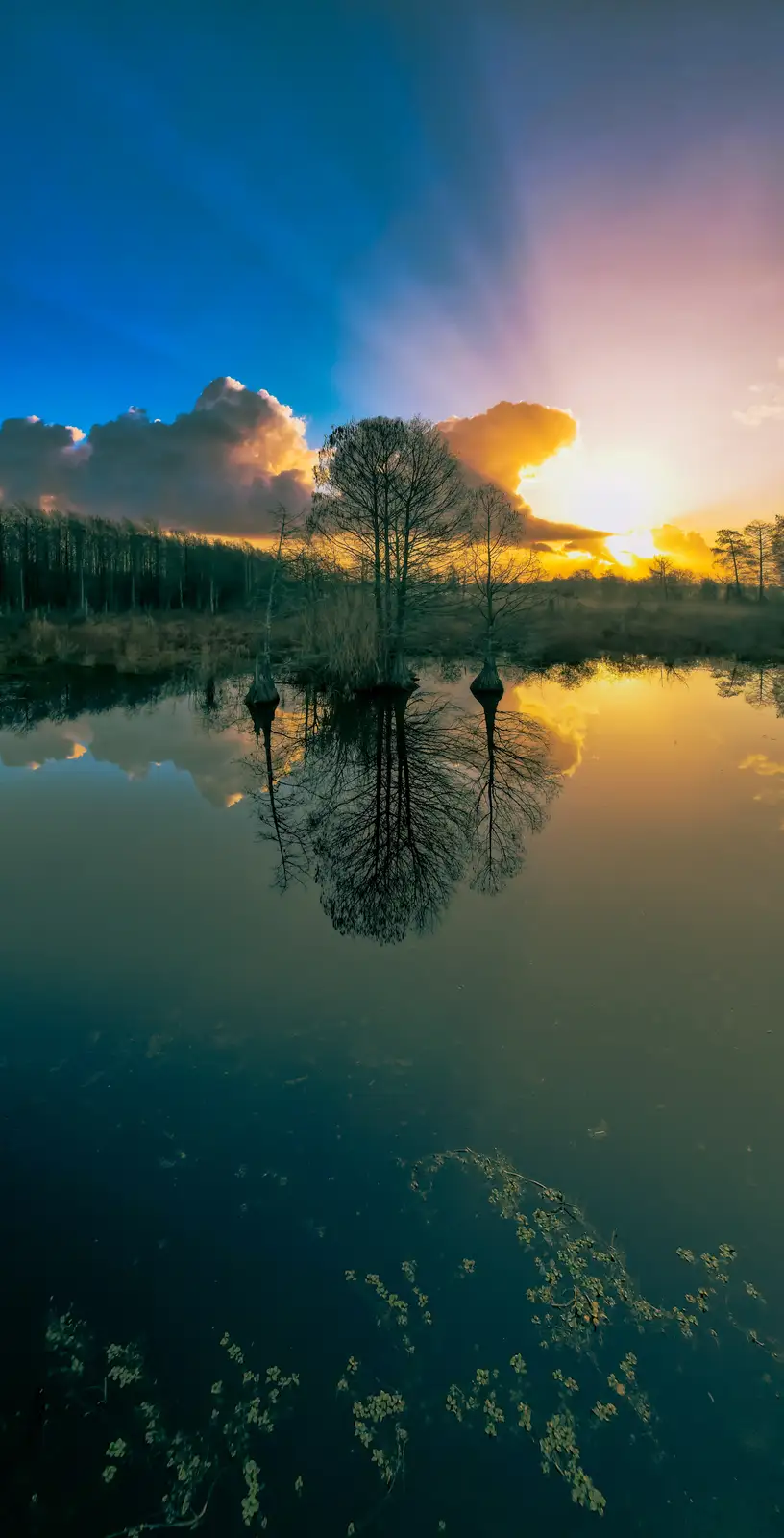 A serene landscape photo shows a calm body of water reflecting a dramatic sunset with orange and blue skies, silhouetted…