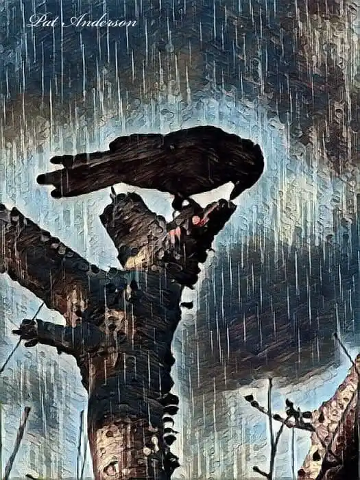 A painting by Pat Anderson depicts a black crow perched atop a gnarled, broken tree branch in a heavy downpour. Rain streaks…