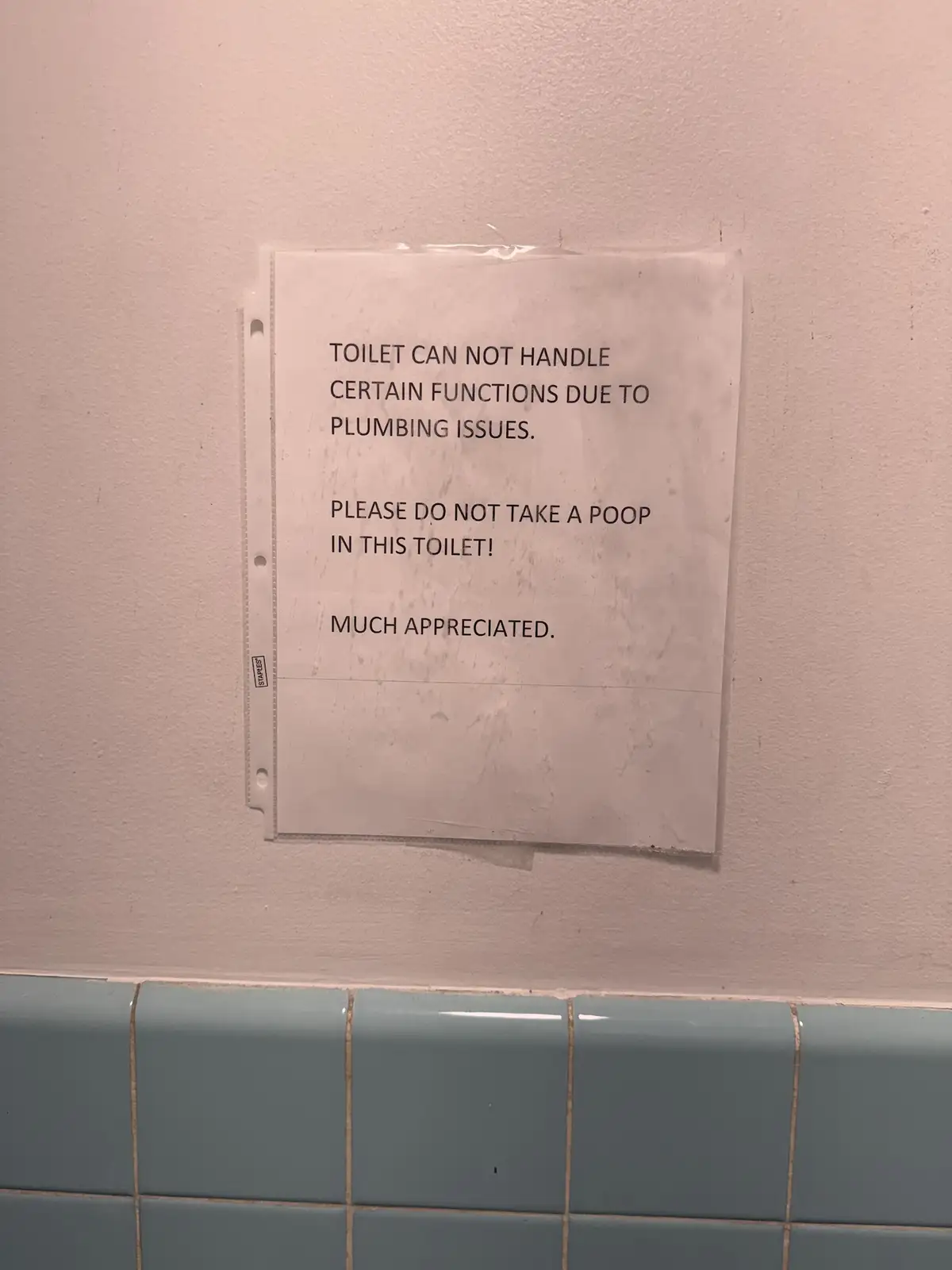 The Struggles of a Poor Toilet: A Humorous Tale