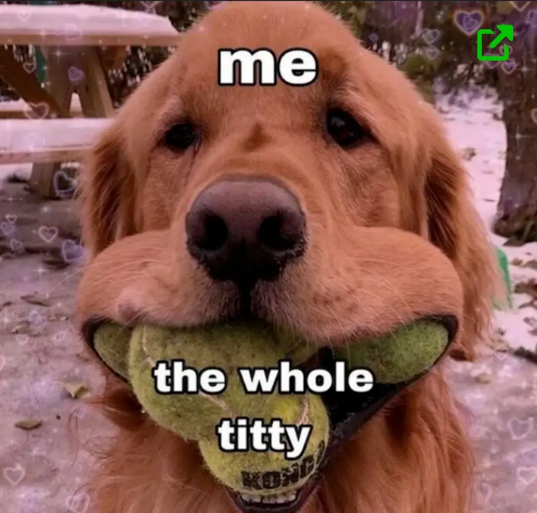 A close-up photo of a golden retriever holding a green tennis ball in its mouth, with the text 'me' above its head and 'the…