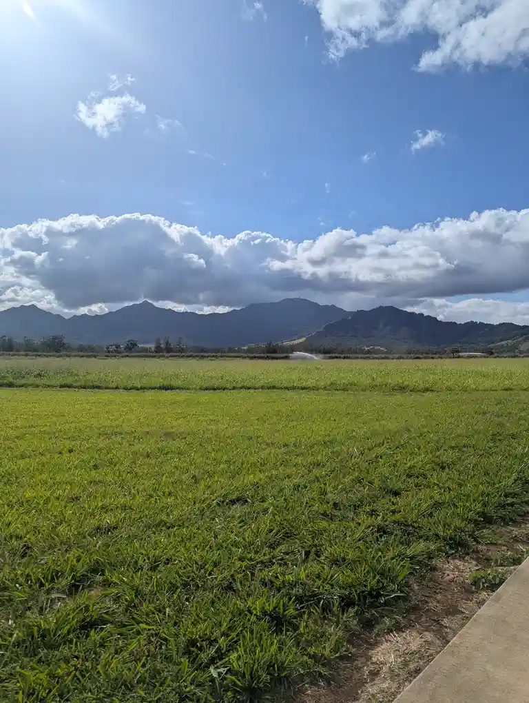 A wide-angle photo shows a vibrant green field under a bright blue sky with scattered clouds, distant mountains in the…