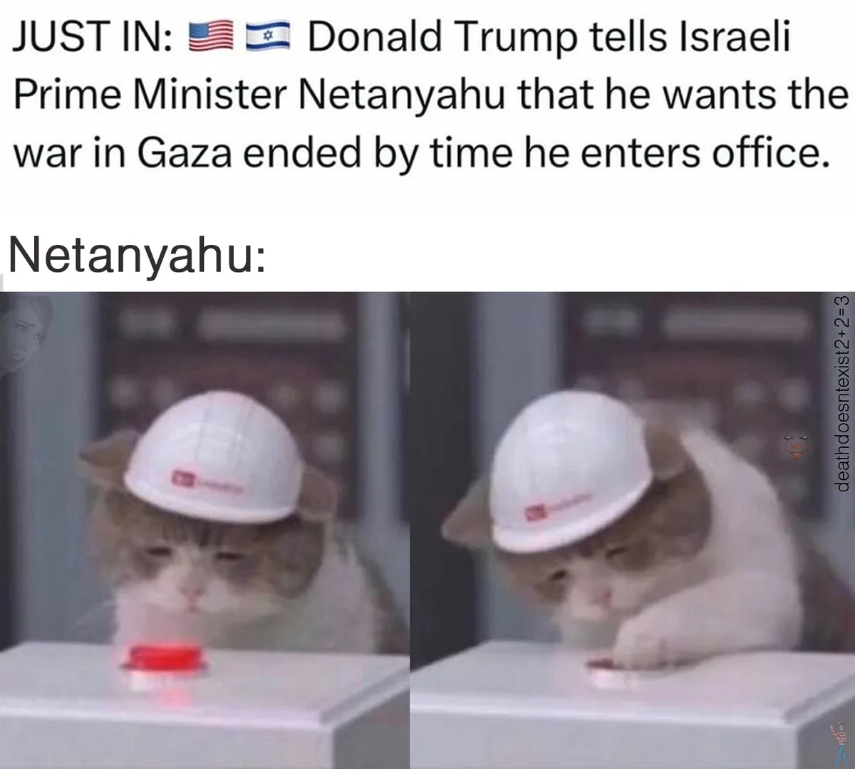 The image shows a split-screen of a cat wearing a white hard hat, looking down at a red button on a white console. In the…