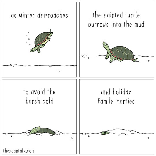 A four-panel comic strip shows a painted turtle: first swimming as winter approaches, then burrowing into mud, then…
