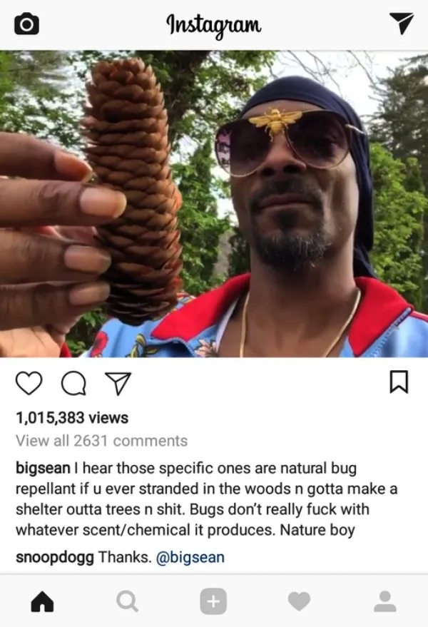 An Instagram post screenshot showing Snoop Dogg holding a pinecone, wearing sunglasses with a bee on the lens and a blue…