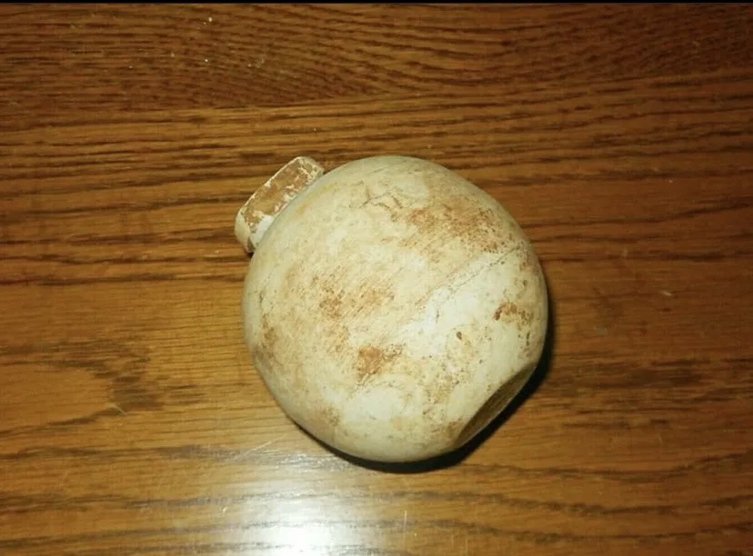A close-up photo shows a round, beige, slightly dirty object with a small protrusion on top, resting on a wooden surface…