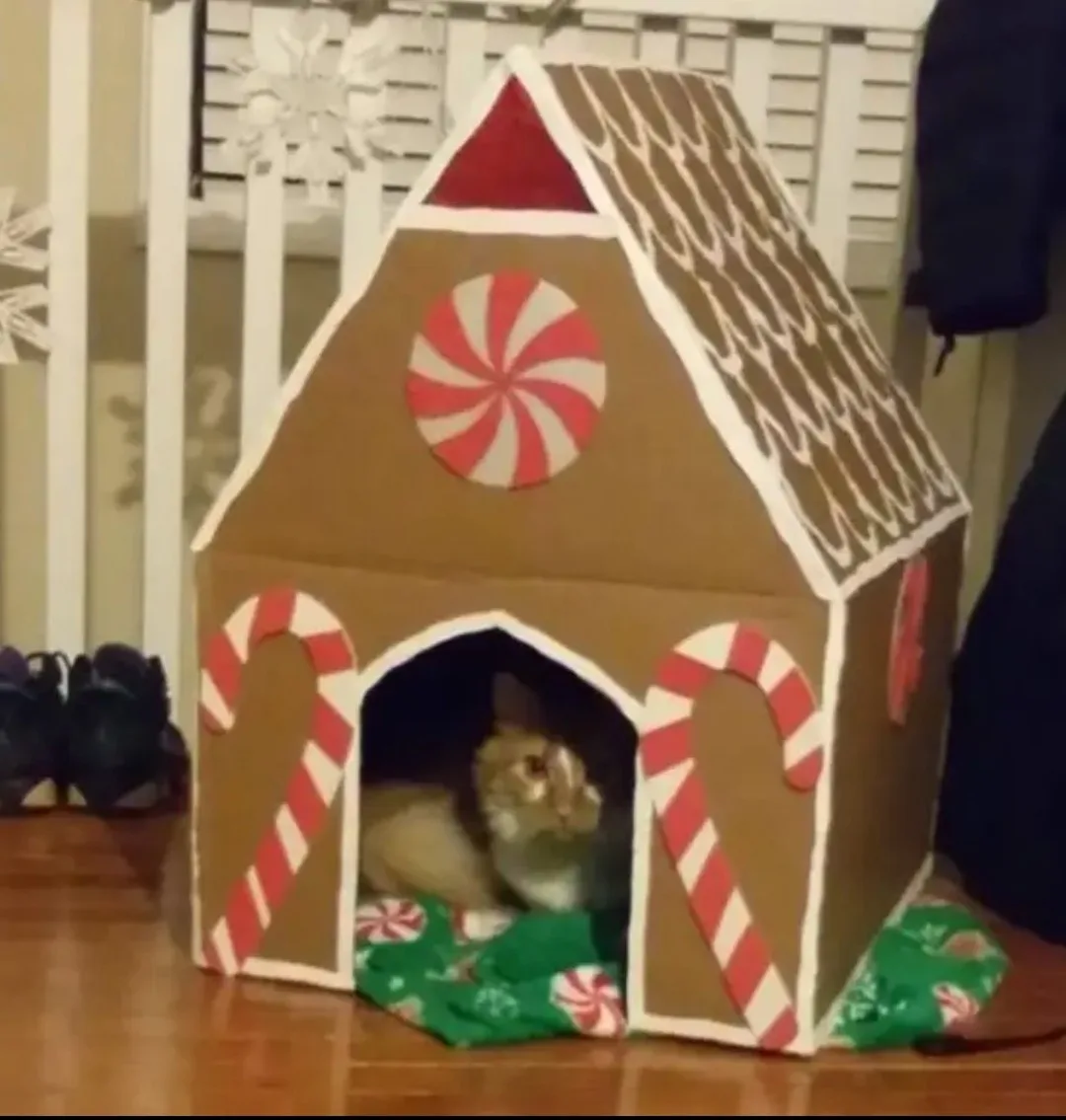 A cat is sitting inside a handmade cardboard gingerbread house decorated with candy cane arches, a peppermint swirl window…