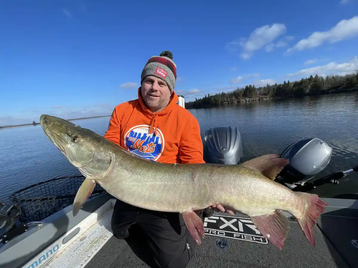 A man in an orange Mets hoodie and a red-and-gray beanie kneels on a fishing boat, proudly holding a very large muskie fish…