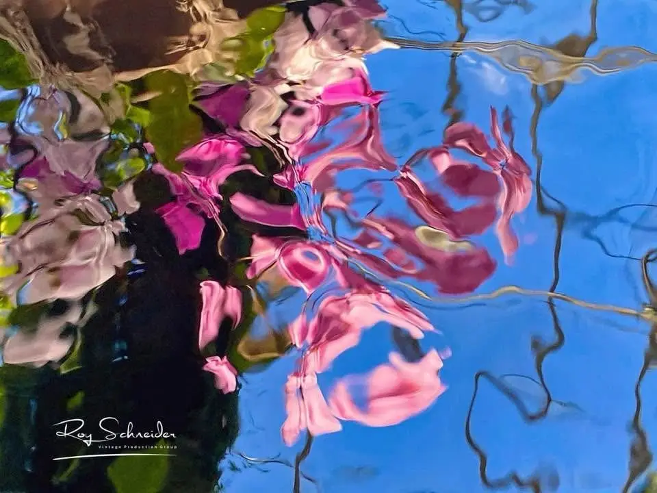 A distorted reflection of pink flowers and green leaves in rippling water, with a blue sky visible through the ripples. The…