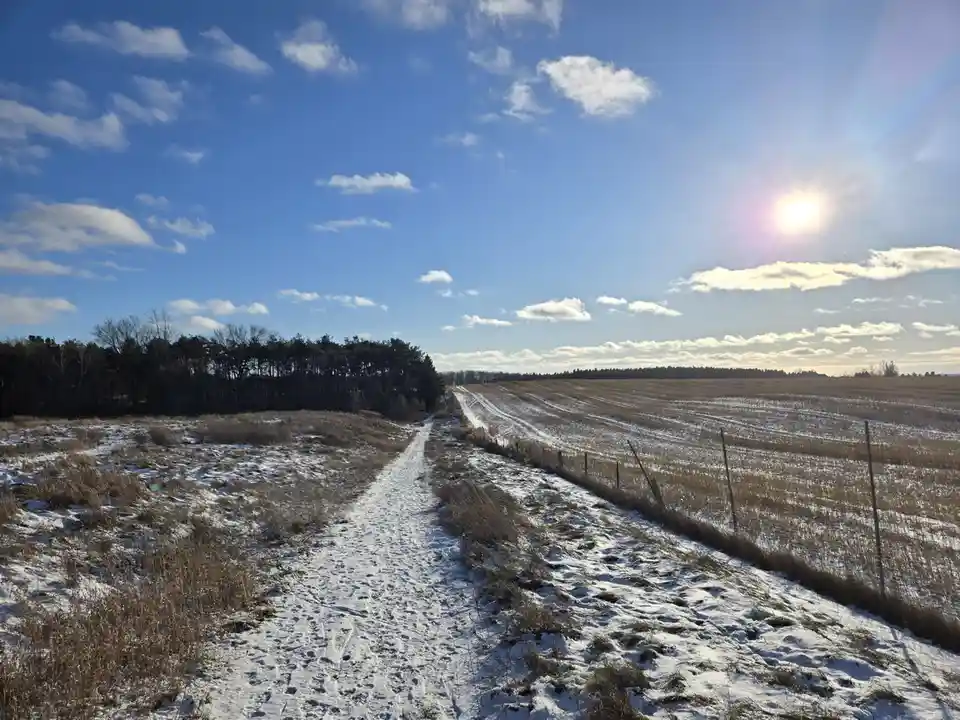 A snowy rural path stretches into the distance under a bright blue sky with scattered clouds and a shining sun. The path is…