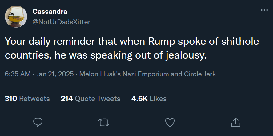 A screenshot of a Twitter post by user Cassandra (@NotUrDadsXitter) from January 21, 2025, displaying the text 'Your daily…