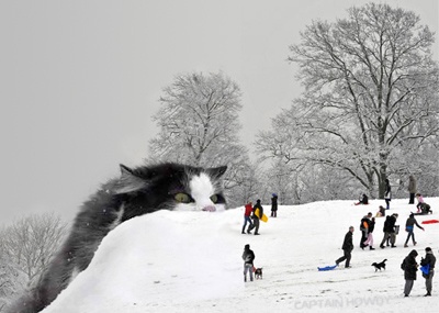 A giant black-and-white cat's head and shoulders emerge from a snowy hillside, looming over tiny people sledding and walking…