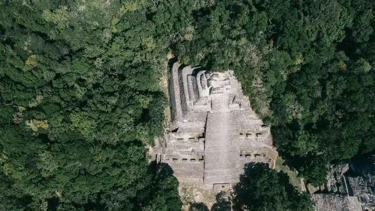 Tumbled stone walls, weathered to a soft mossy hue, meander through the landscape like ancient veins. Verdant foliage, a…