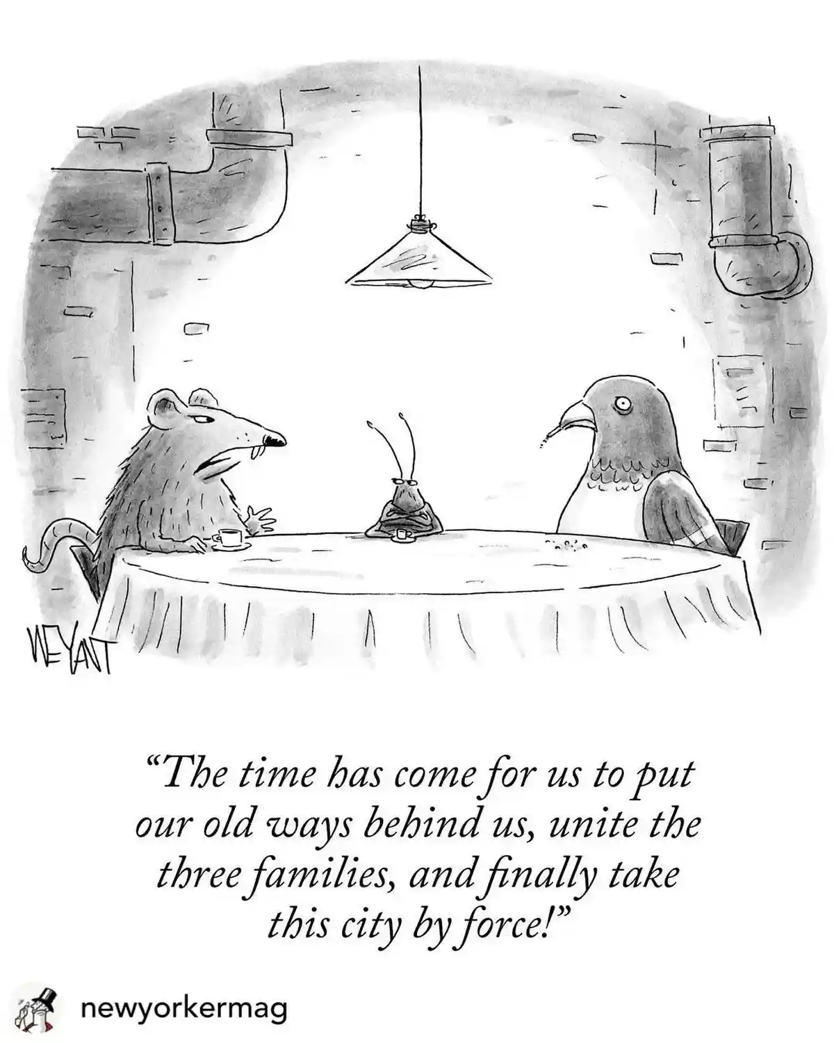 A black-and-white cartoon depicts a rat and a pigeon sitting at a table in a dimly lit, pipe-filled room, facing each other…