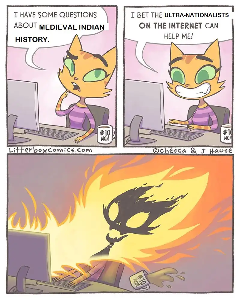 A three-panel comic strip featuring a cartoon cat at a computer. In the first panel, the cat says, 'I HAVE SOME QUESTIONS…
