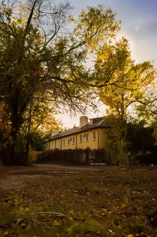 A yellow house is partially obscured by large, leafy trees in autumn, with golden sunlight filtering through the branches…