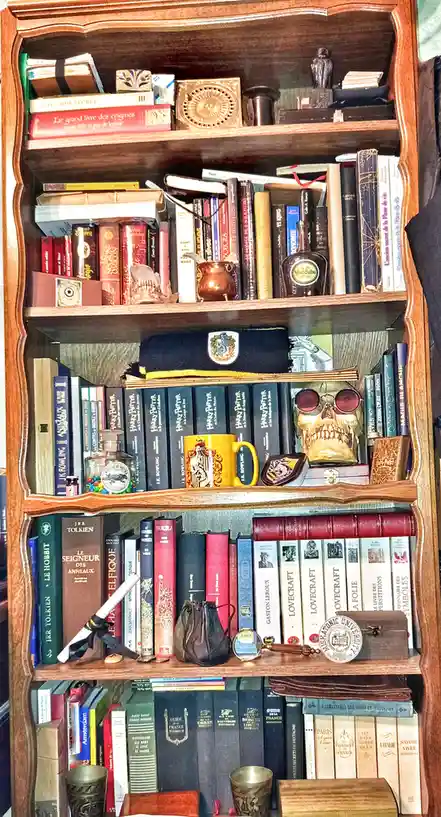 A wooden bookshelf filled with books and themed items, including Harry Potter books, a Gryffindor scarf, a skull with red…