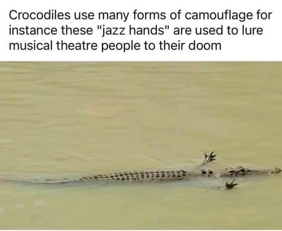 A crocodile is swimming in murky water with its front limbs raised in a gesture resembling 'jazz hands'. The image has text…