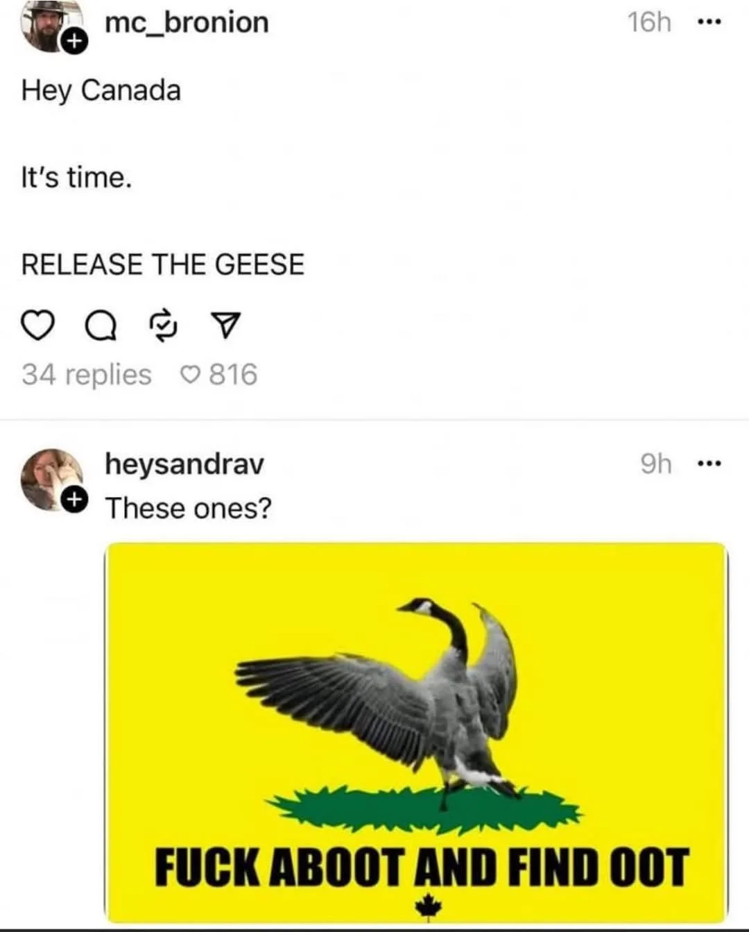 A screenshot of an Instagram comment thread shows user 'mc_bronion' posting 'Hey Canada. It's time. RELEASE THE GEESE'…