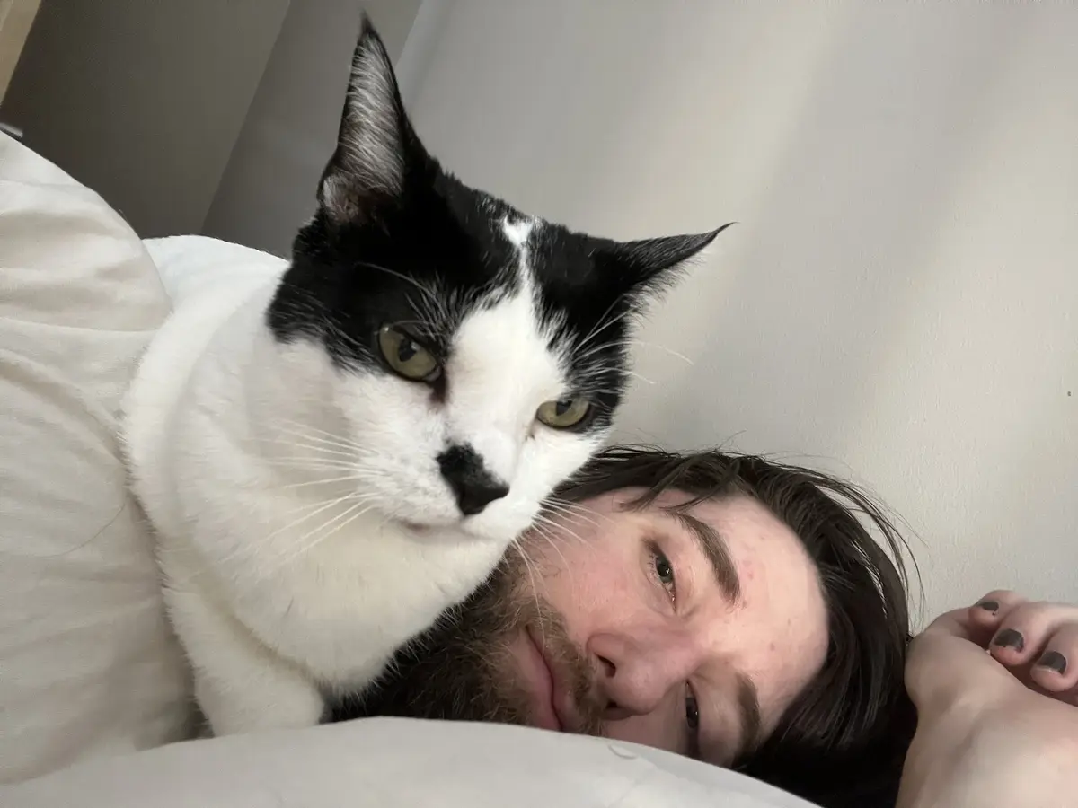 A black and white cat with a stern expression rests its head on a person's shoulder while lying on a bed. The person, with…