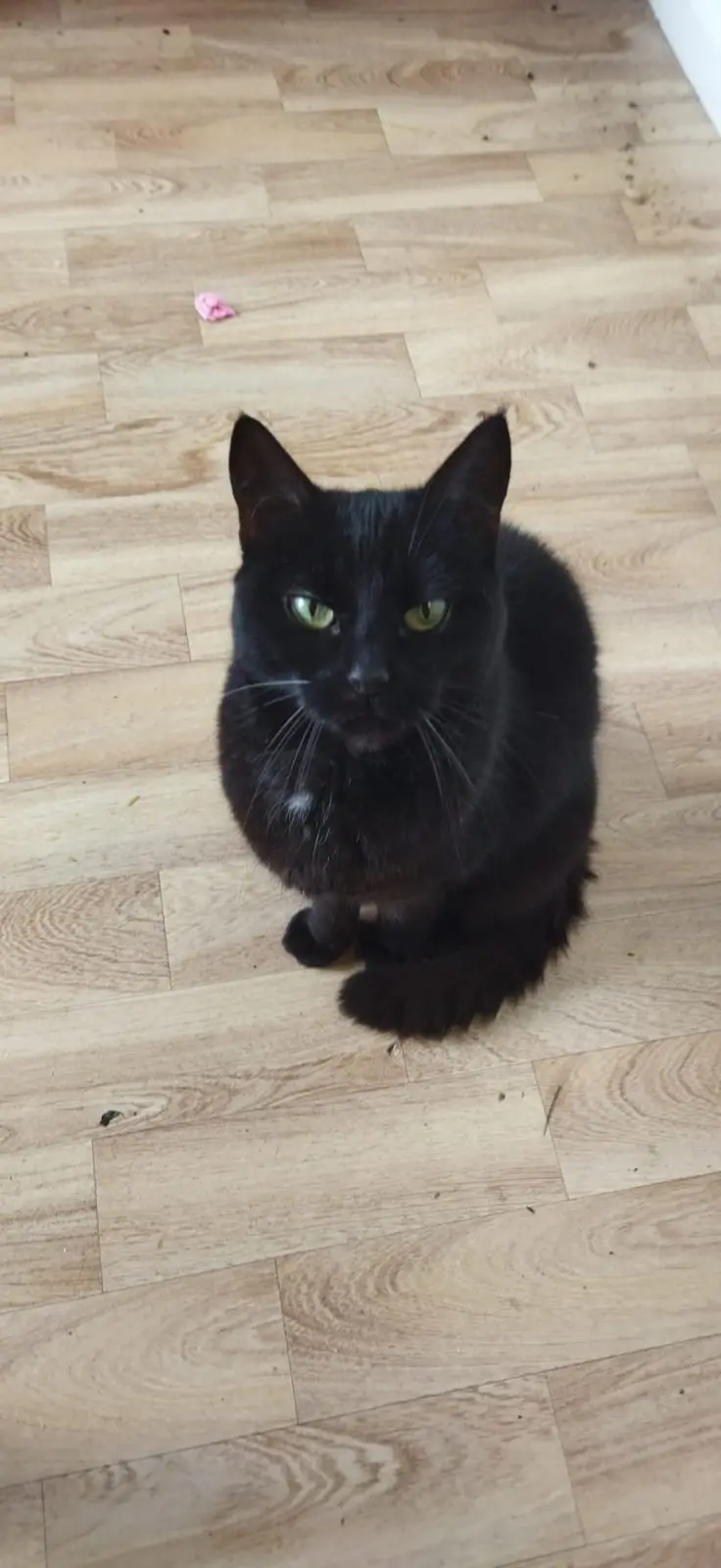 Adorable snapshot of Bob stealing hearts