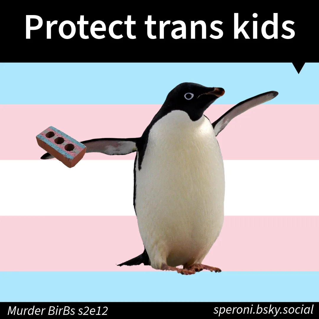 A penguin stands against a trans pride flag background, holding a brick in one flipper. White text at the top reads 'Protect…