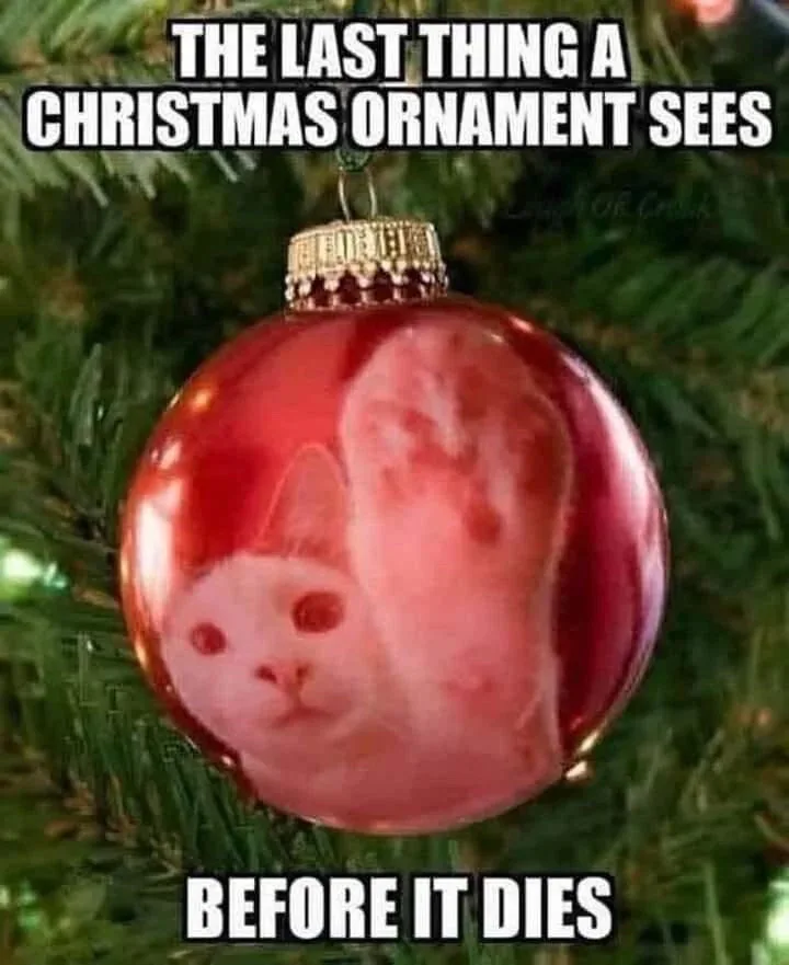 A shiny red Christmas ornament hangs on a green pine tree, with a distorted, ghostly image of a white cat's face visible…