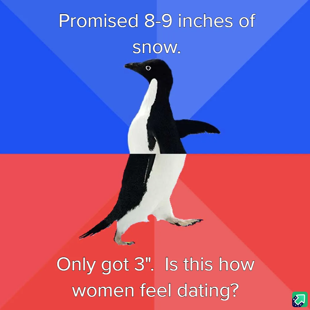 A penguin is split vertically down the middle, with the top half against a blue background and the bottom half against a red…