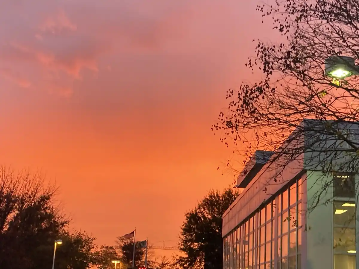 A vibrant orange and pink sunset fills the sky above a modern building with glass windows and bare tree branches in the…