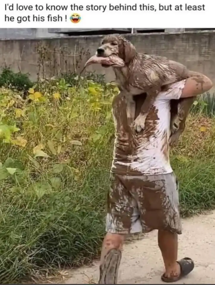 A person covered in mud carries a muddy dog on their shoulders; the dog has a large fish in its mouth. The person wears a…