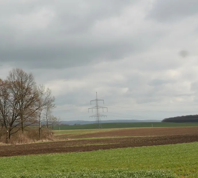 A rural landscape with green and brown fields under a cloudy sky, featuring a tall electricity pylon in the distance. Bare…