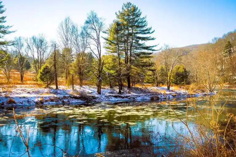 A serene winter landscape featuring a river with partially frozen, lily pad-covered water reflecting trees, surrounded by…