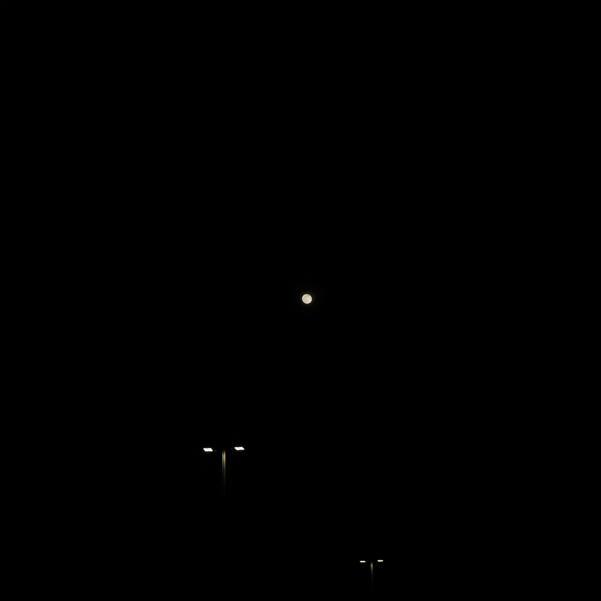 A night sky image showing a bright full moon centered in the upper half of the frame, with two streetlights visible at the…
