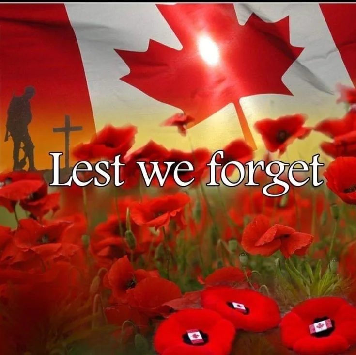 Today We Honor the Brave Soldiers Who Fought for Our Freedom