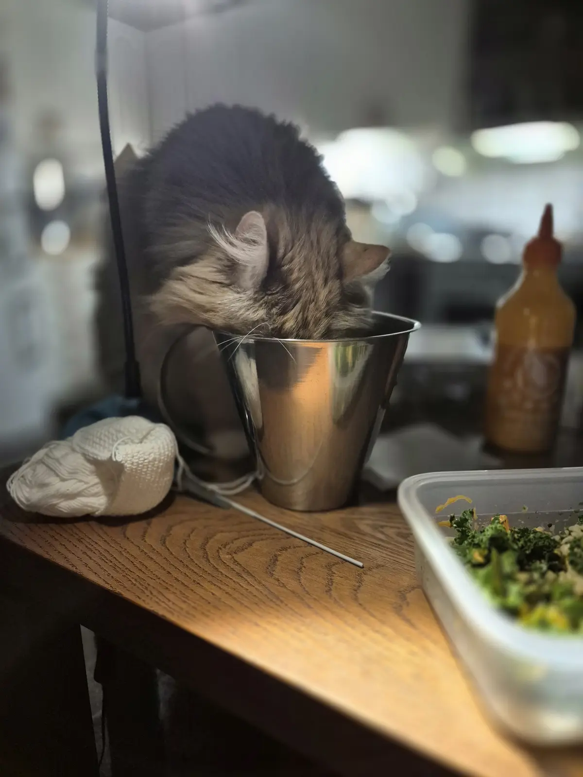 A fluffy, long-haired cat with dark and light brown fur has its head completely submerged inside a small, shiny metal cup…