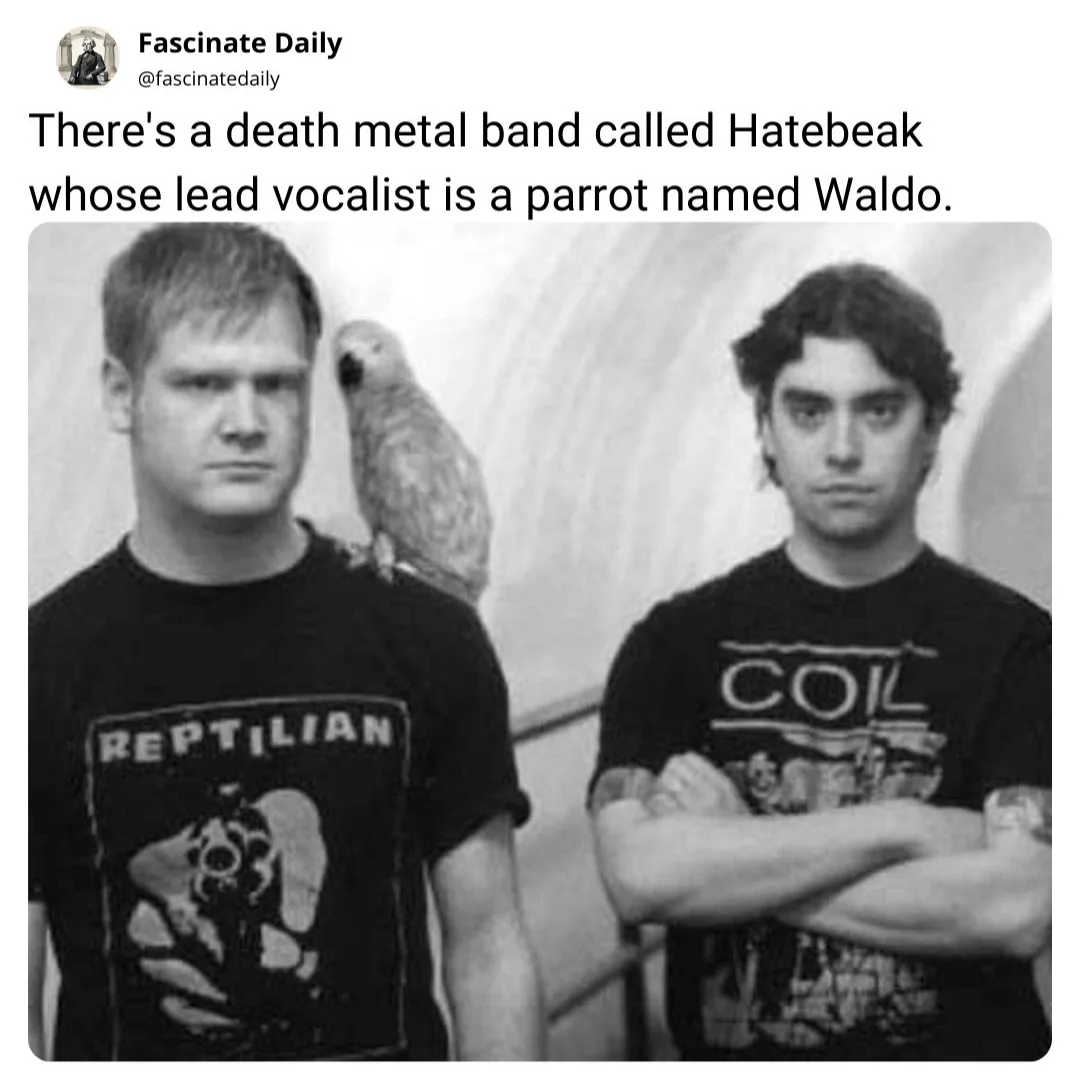 A black-and-white photo shows two men with serious, unimpressed expressions. A parrot perches on the shoulder of the man on…